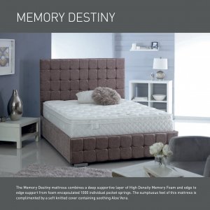 Memory-Destiny1.jpg