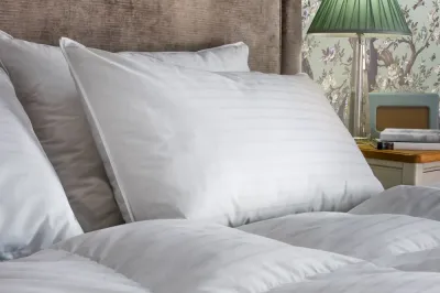 laura-ashley-duck-and-down-pillow(1).webp