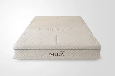 mlily-haluna-natural-1500-straight.webp